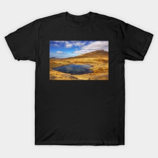 Llyn y Cwn and Y Garn T-Shirt